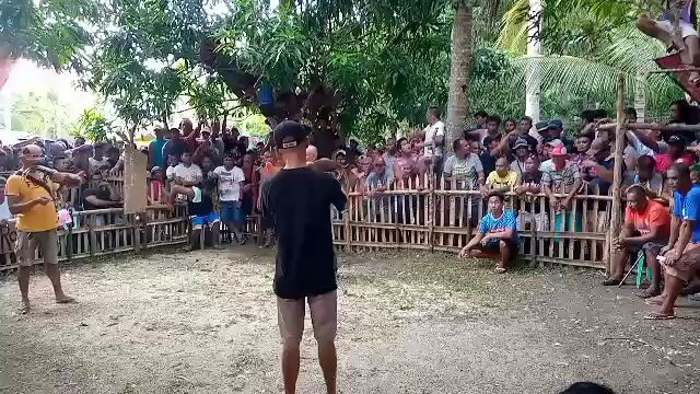 fiesta at brgy. daplian san fdo. masbate.