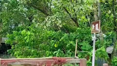beautiful place