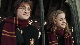 [Komentar Film]Detail di Film dan Karya Asli|<Harry Potter>