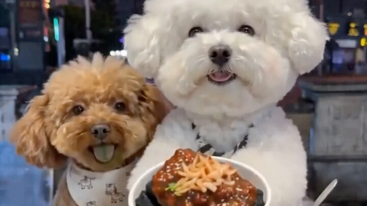 Boss, one serving of stinky tofu, please!