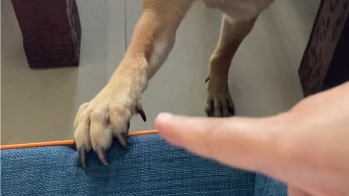 Một số chuyện thường ngày nè