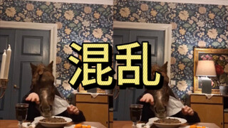 好忙的一顿饭，分不清谁更好笑