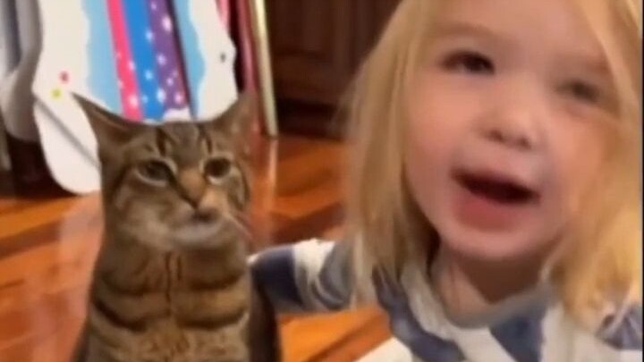 Cat: Guess how happy I am?