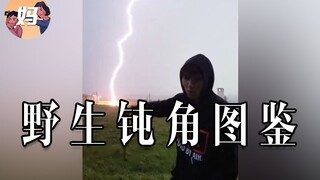 【野生人类图鉴】他有没有可能是演的【妈见打】