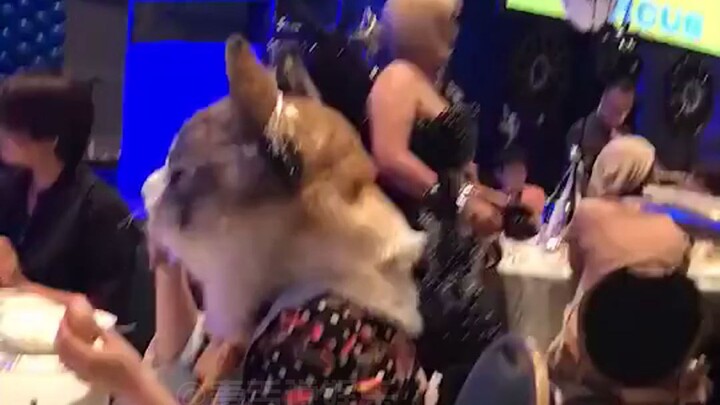 يا له من لطيف جدًا