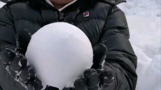 我这边不缺技术不缺碗就缺雪了