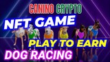 Play-To-Earn NFT Game Dog Racing | CANINO CRYPTO Review
