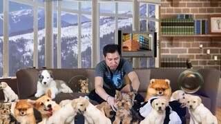 Cloning Machine - Got Dogs ? You need more space rent free