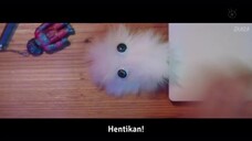 5 (KITANO HINAKO)