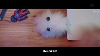5 (KITANO HINAKO)
