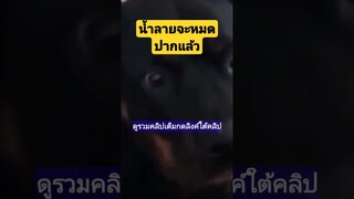 ^ดูรวมคลิปเต็มกดลิงค์ด้านบนจ้า^ น้ำลายจะหมดปากแล้วเนี่ยเร็วๆหน่อย