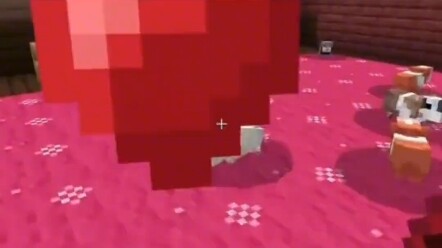 Minecraft: Super Cute Guinea Pig!!