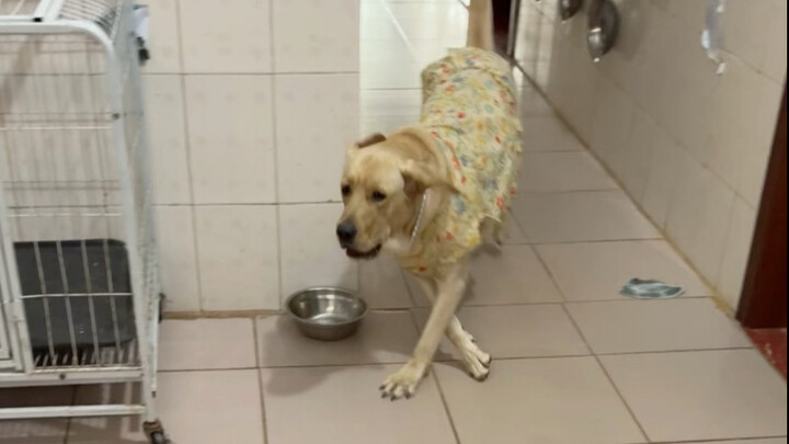 เปลี่ยนจากเปิดอาหารเป็นปิดอาหาร