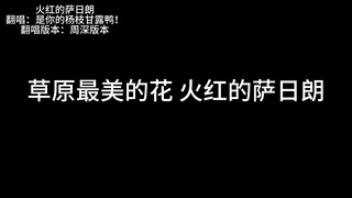 火红的萨日朗。                             翻唱：是你的杨枝甘露鸭！