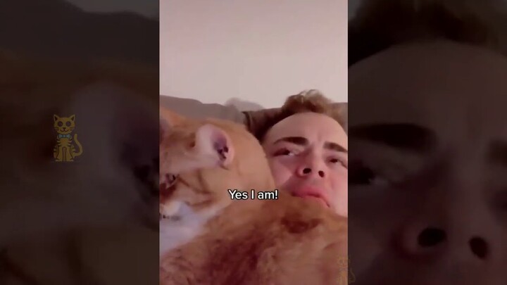 KUCING KUCING LUCU 😹 Yang akan membuatmu ketawa sampai bengek🤣 | Kucing Paling Imut