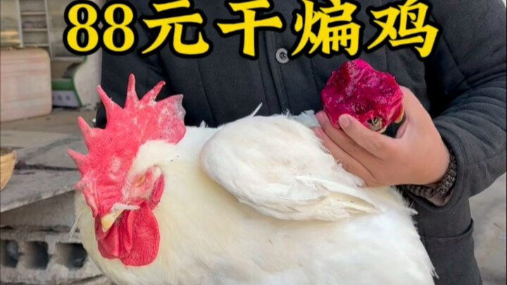 88 Yuan Spicy Dried Giant Chicken Legs
