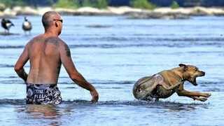 A collection of fun overseas videos—after watching, you'll feel like the whole world is so joyful! #