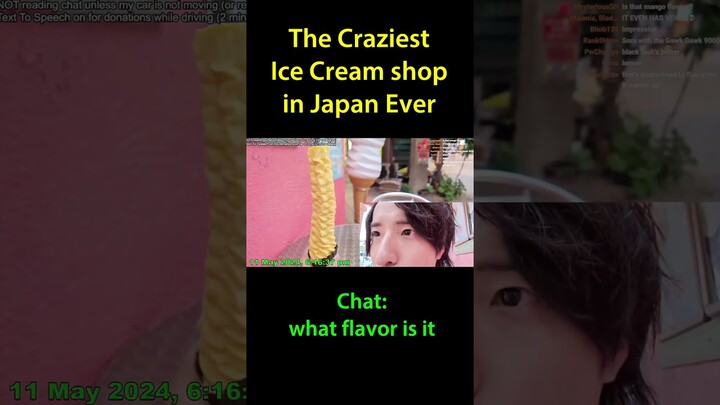 The Craziest Ice cream shop in Japan EVER