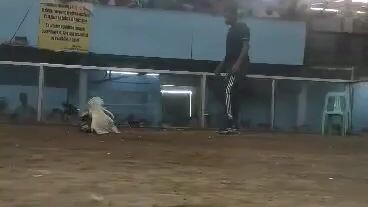 first fight kala nila patay Pero lumaban pa