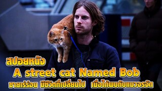 สปอยหนัง A street cat Named Bob ชายเร่ร่อน มีชีวิตที่เปลี่ยนไป  เมื่อได้พบกับแมวจรจัด