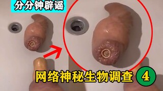 [Phút bác bỏ tin đồn] Một con giun thịt lớn chạy vào nhà qua cống