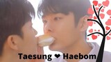 Taesung 💞 haebom❤️ Atak gaya hai song ❤️ Cherry Blossom After Winter❤️ blmixhindisong❤️