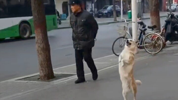 Can you stop copying me already?