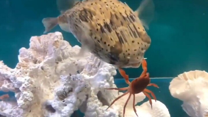 You take from others’ hands, so you better keep their mouths shut.