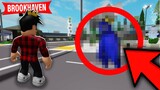 New Update in Roblox Brookhaven 🏡 RP is INSANE...