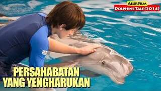 Kisah Persahabatan Yang Sangat Mengharukan | Alur Cerita Film DOLPHINE TALE 2 (2014)