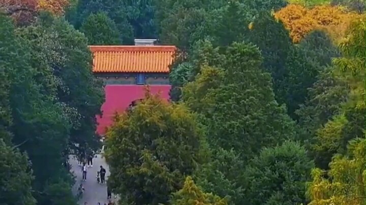 A travel guide that truly belongs to the people.