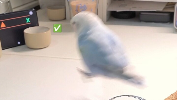 เผื่อคุณยังไม่เคยเห็นว่าตอนสอบไดโนเสาร์มันใจลอยกันยังไง📝🐦