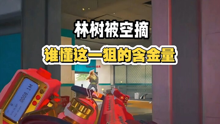 Lin Shu Wulong gets one-shot by an AWM headshot in mid-air!!