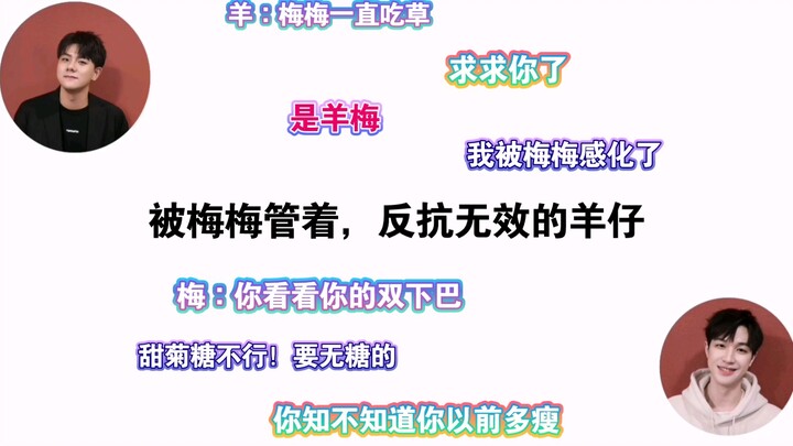 【Dê con｜Mai Mai】🐑∶ Tôi đã bị Mai Mai cảm hóa rồi! Mai Mai gầy đi, ngày nào cũng ăn cỏ