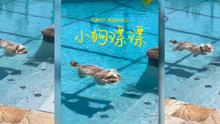 Whose mop is floating in the water⁉️