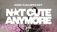 💥WARNING 💥NOT CUTE Time 🧑💻🚨