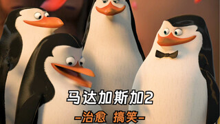 第2集｜“你永远可以相信企鹅航空”