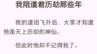 （完结版）我陪道君历劫那些年【林沉 小白 林城】