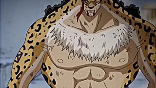 Momen ketika Luffy menghajar habis si jaguar🔥