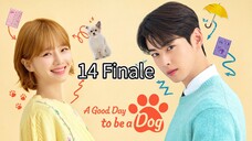 A Good Day To Be A Dog Episode 14 Finale [Tagalog Dub]