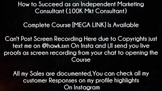 How to Succeed as an Independent Marketing Consultant (100K Mkt Consultant) Course download