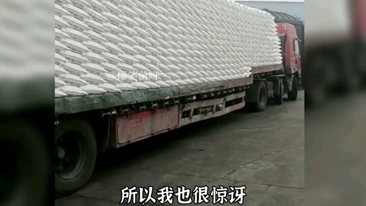 Điểm lại những khoảnh khắc xuất sắc trong mọi lĩnh vực, đạt đến đỉnh cao của chuyên môn, quả nhiên c