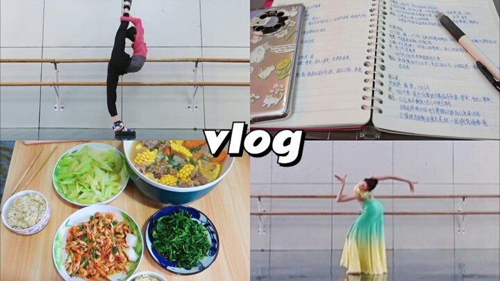 「舞蹈生vlog」省考倒计时12天/沉浸式练舞