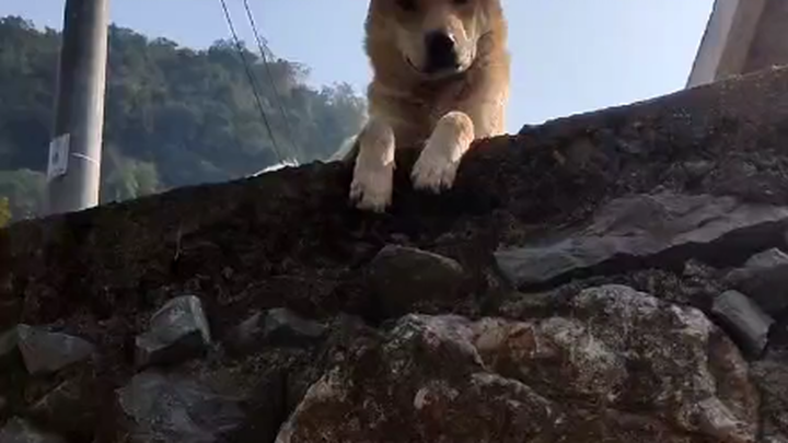 Everyone had a big yellow one in their childhood [blushing]