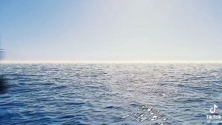 WATER SEVEN ONE PIECE