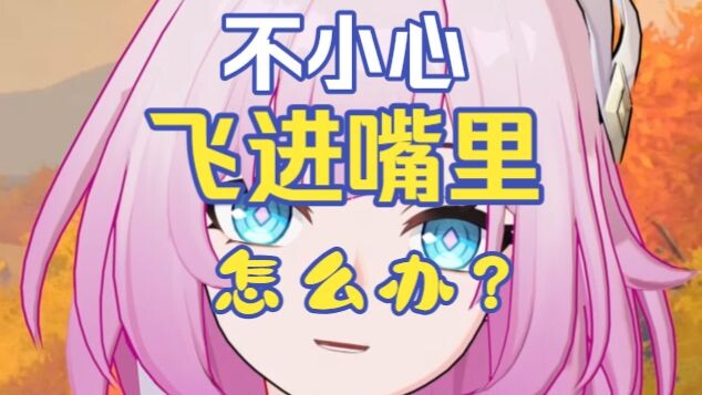 【Xiluan】What should you do if it accidentally flies into your mouth?