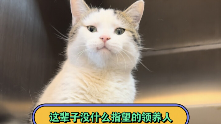 谁起的这破名字