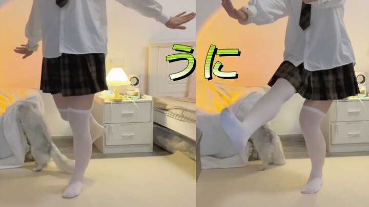 う に Baisi Jumping | 142 Jin lần đầu thử nhảy tại nhà, video về cách thuần hóa chân tay của con người