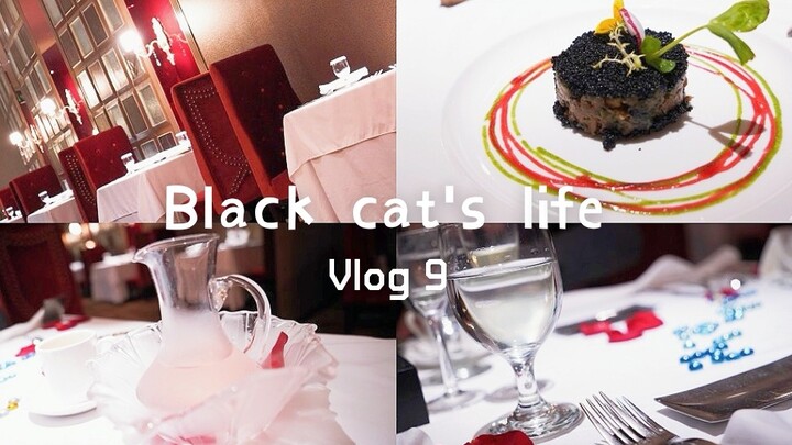 Black Cat's Birthday Vlog: Diamond-Level Straight Guy Cat Husband Sprinkles Sugar | Caviar Beef Sala