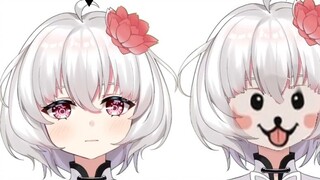 [ถ่ายทำฤดูใบไม้ผลิ] ฉากแมวสาวเห่าสิบครั้งน่าตื่นเต้นมาก